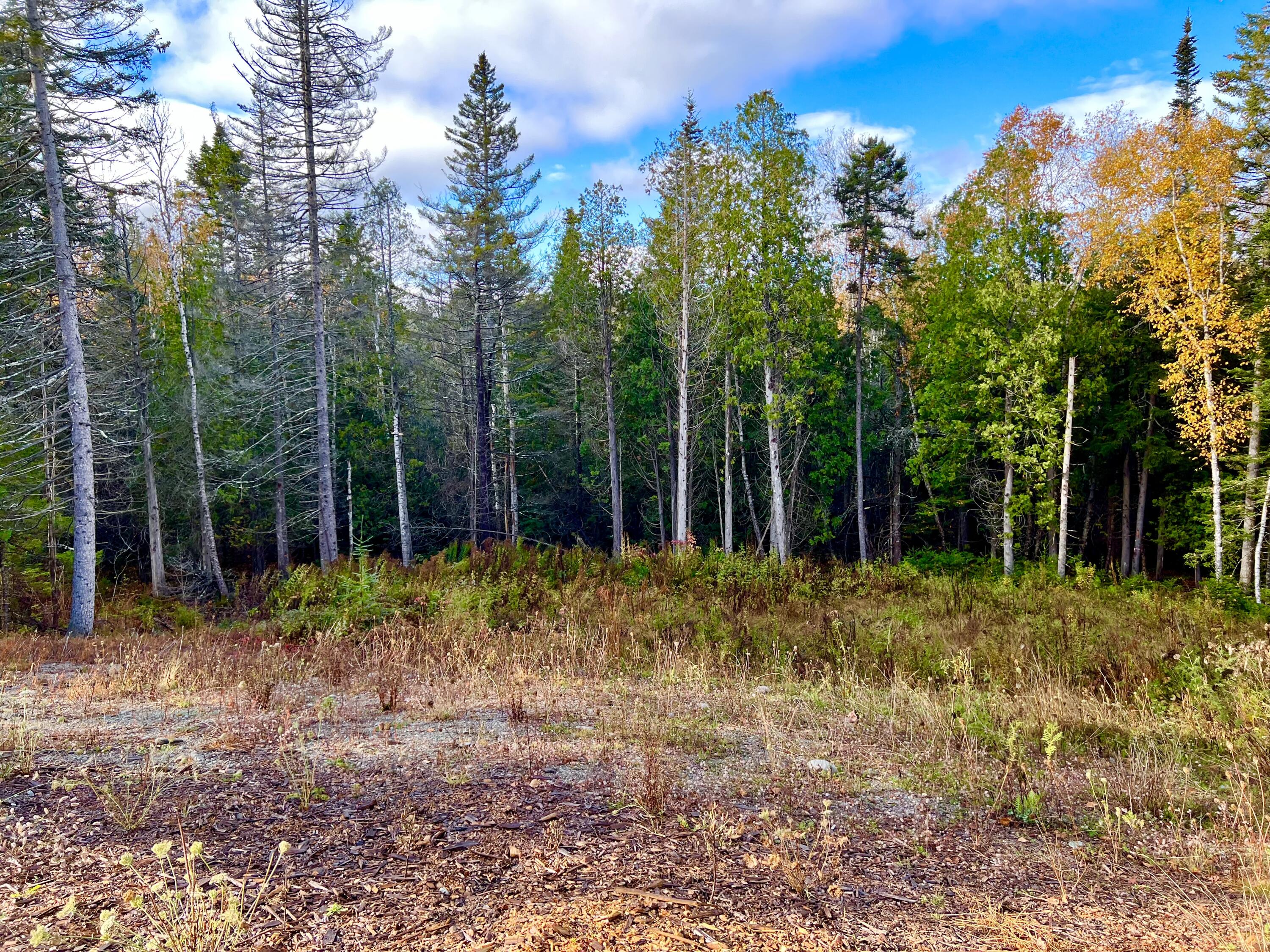 28 Mount Gilboa Way Tremont, ME 04653 - Photo 41 of 45 Land