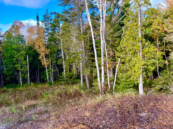 $499,000 | 28 Mount Gilboa Way, Tremont, ME 04653