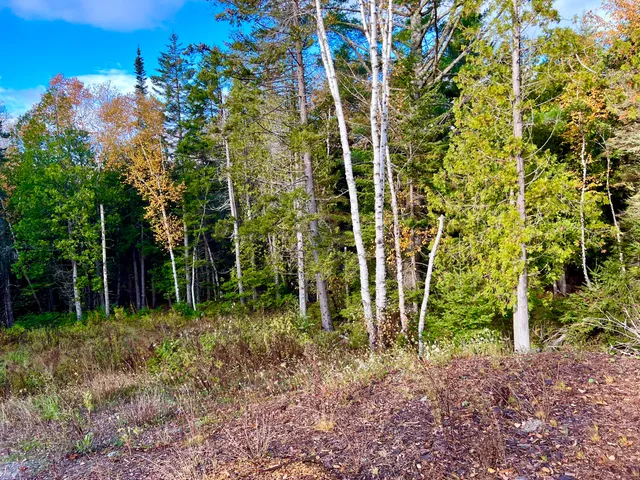 $585,000 | 28 Mount Gilboa Way, Tremont, ME 04653