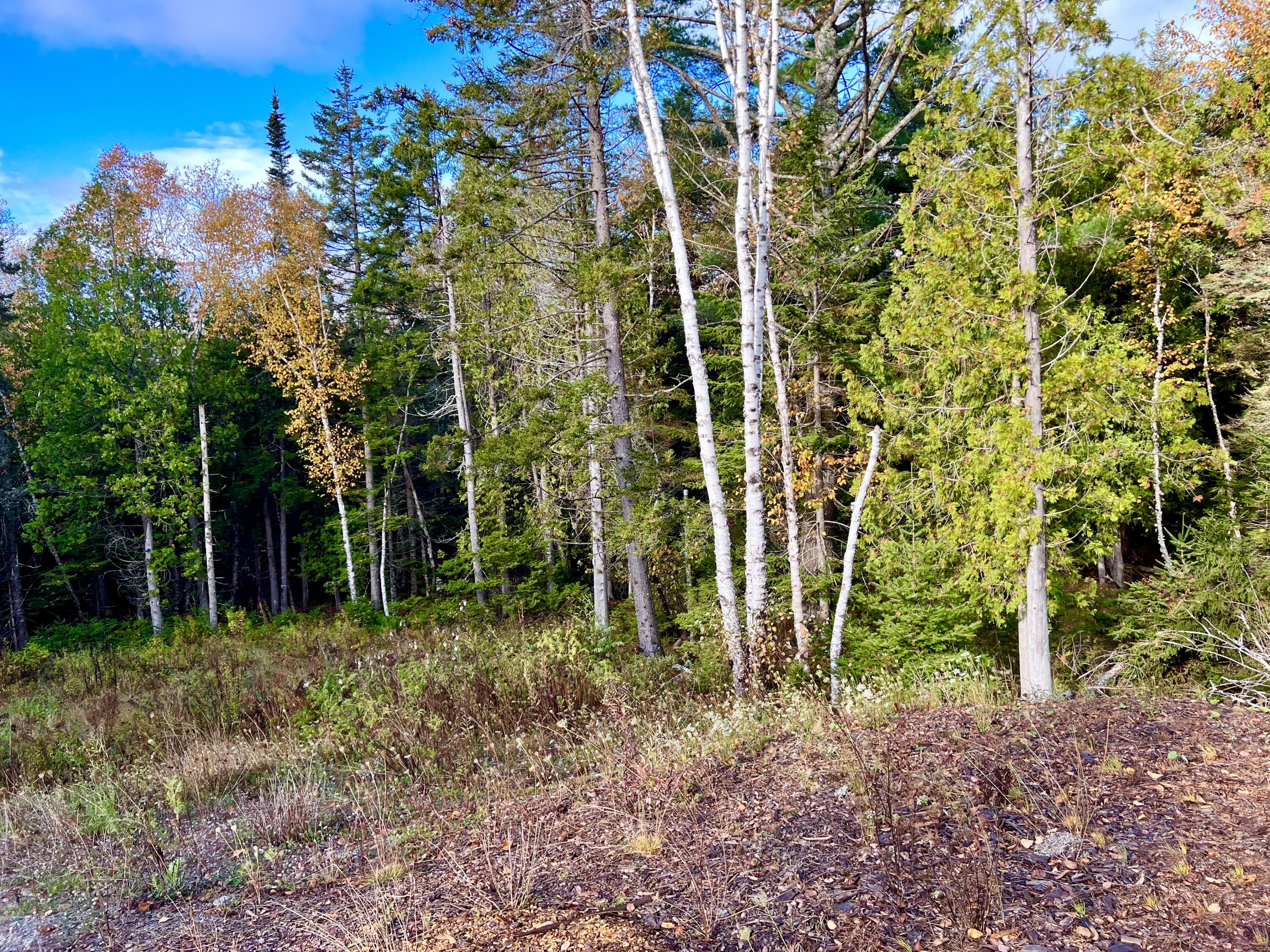 28 Mount Gilboa Way Tremont, ME 04653 - Photo 42 of 45 Land