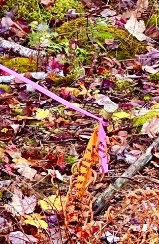 $585,000 | 28 Mount Gilboa Way, Tremont, ME 04653