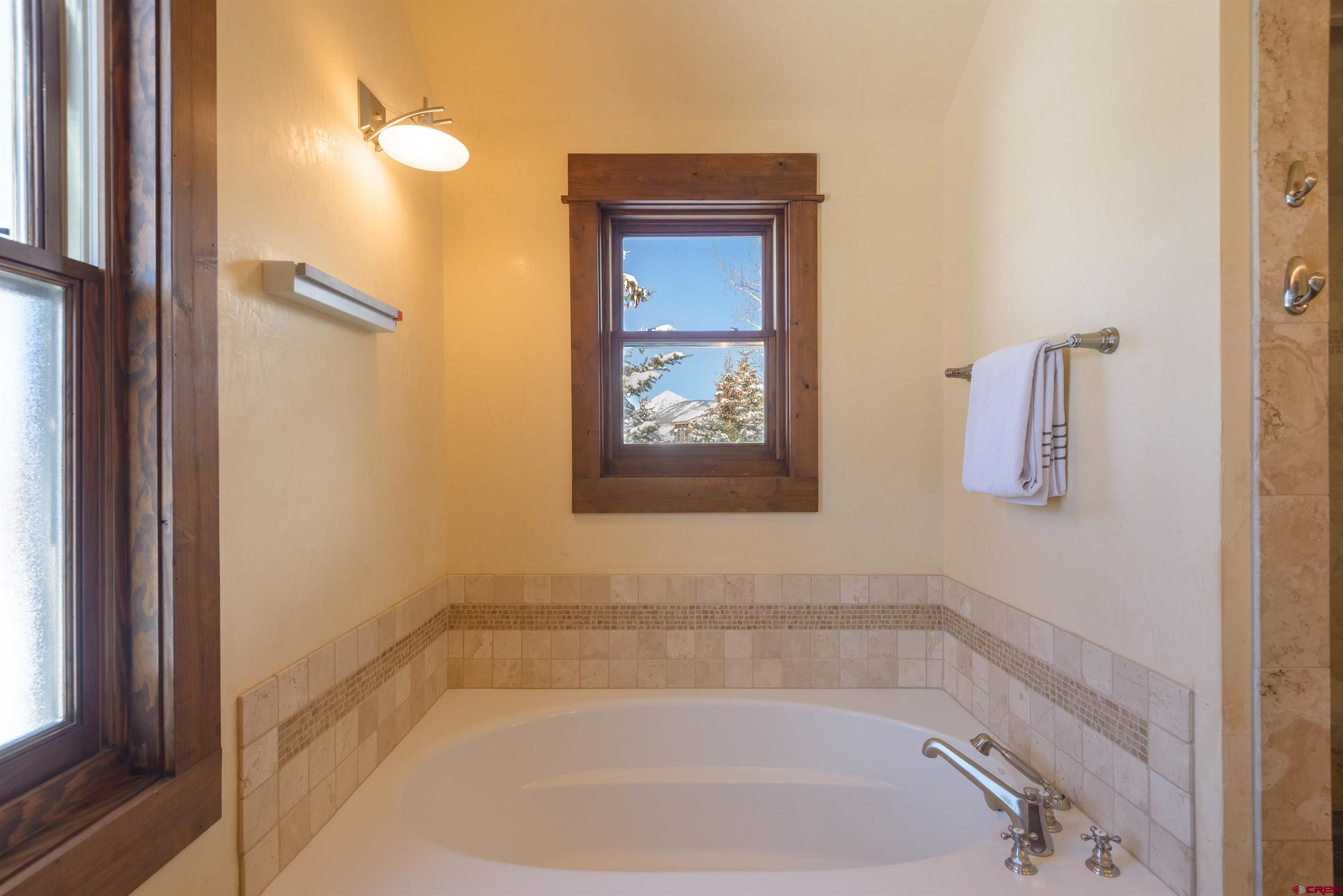 111 Alpine Court Crested Butte, CO 81224 - Photo 14 of 42 primary bath