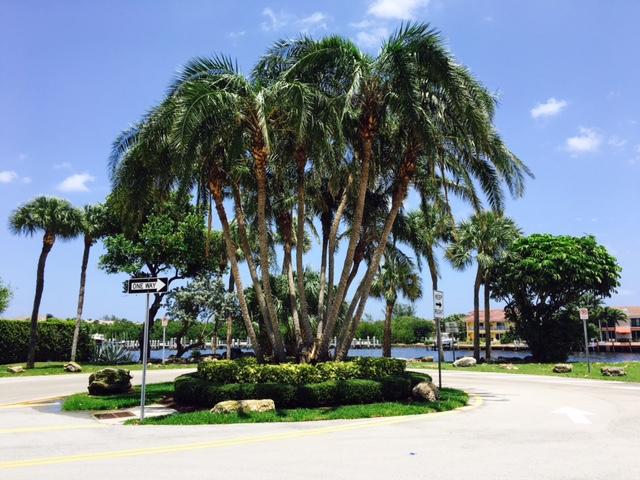 1072 Jeffery Street Boca Raton, FL 33487 - Photo 28 of 38 a view of a park with palm trees