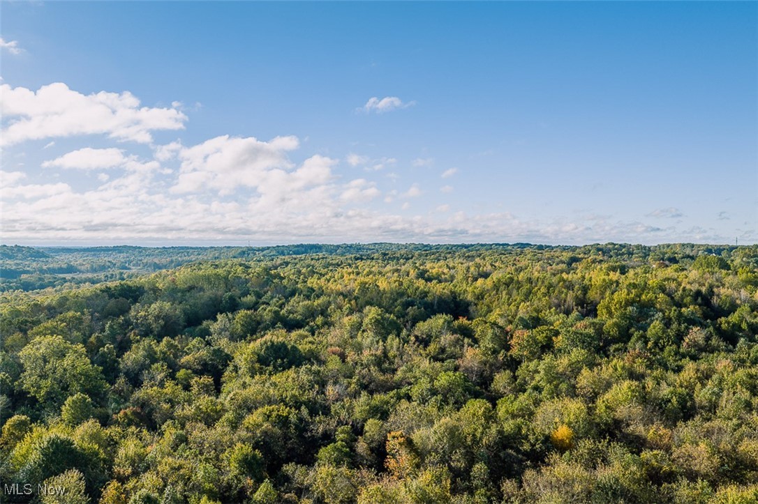 Youngstown Salem Road Salem, OH 44460 - Photo 7 of 18 Aerial view of a forest