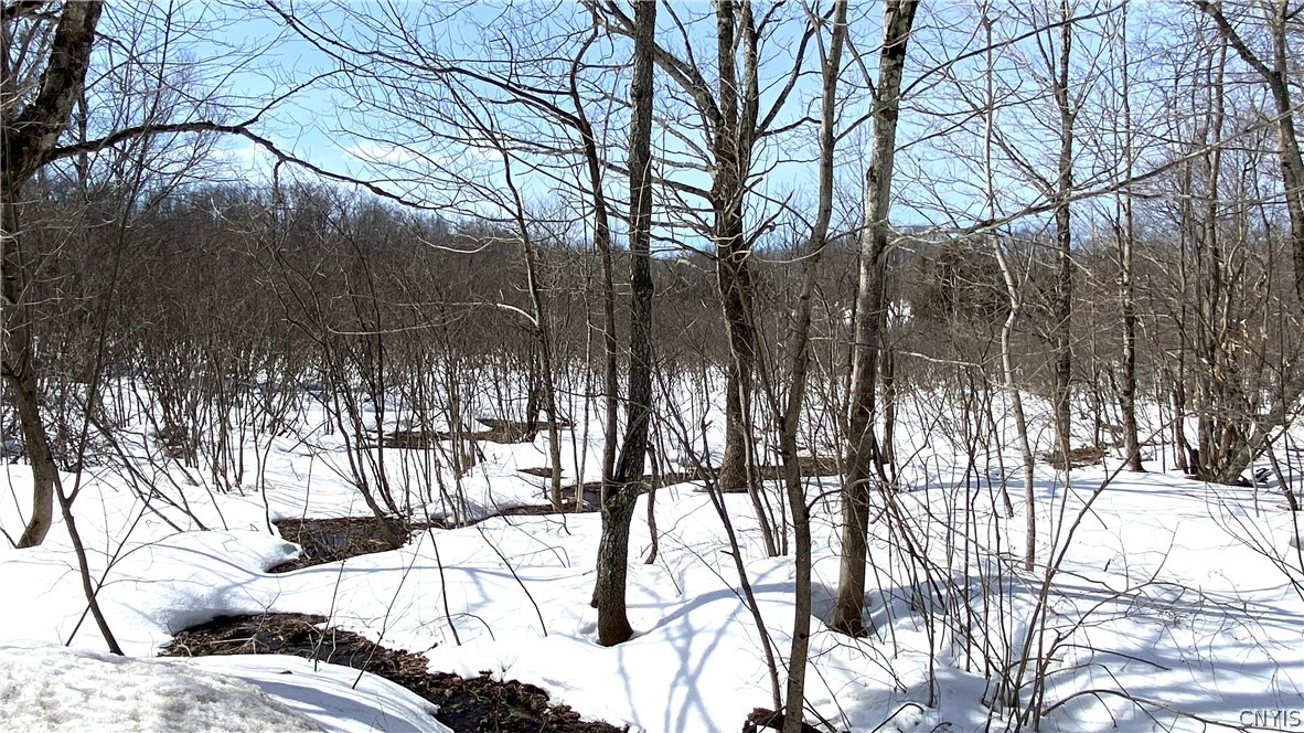 Town Line Road Lorraine, NY 13659 - Photo 1 of 1