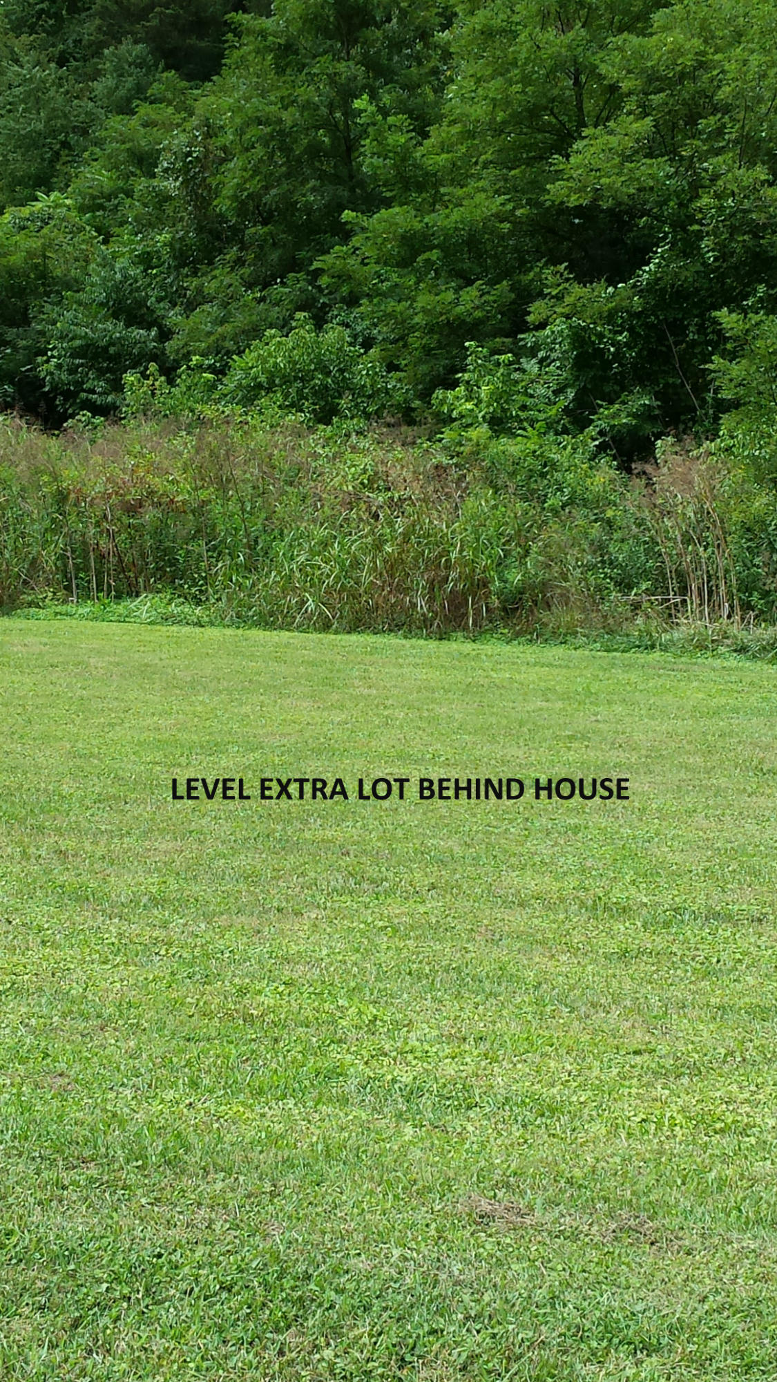 1278 Alleghany Spring Road Shawsville, VA 24162 - Photo 11 of 11 Extra Lot