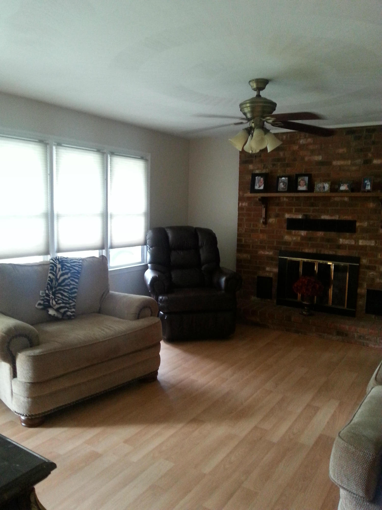 1278 Alleghany Spring Road Shawsville, VA 24162 - Photo 3 of 11 Living Room w/Natural Light