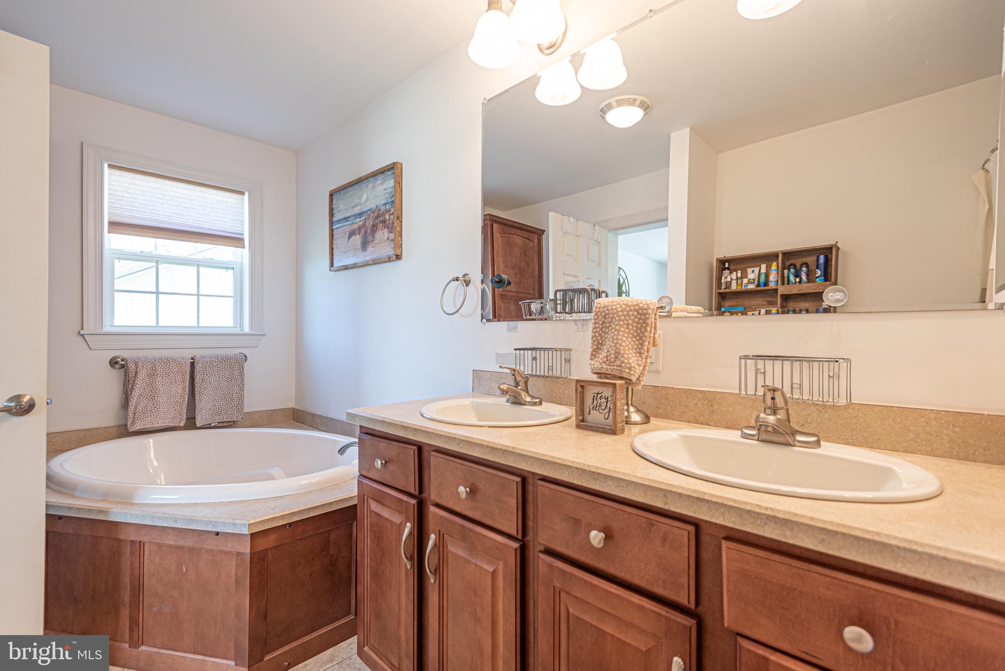 12740 Jarvis Road Bishopville, MD 21813 - Photo 30 of 47 a bathroom with a sink a vanity a lamp and a mirror