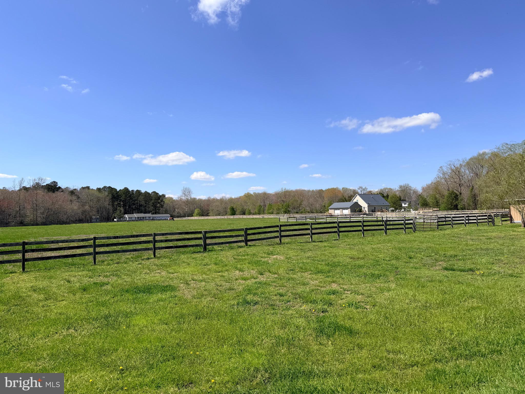 12740 Jarvis Road Bishopville, MD 21813 - Photo 3 of 5 Front Pasture