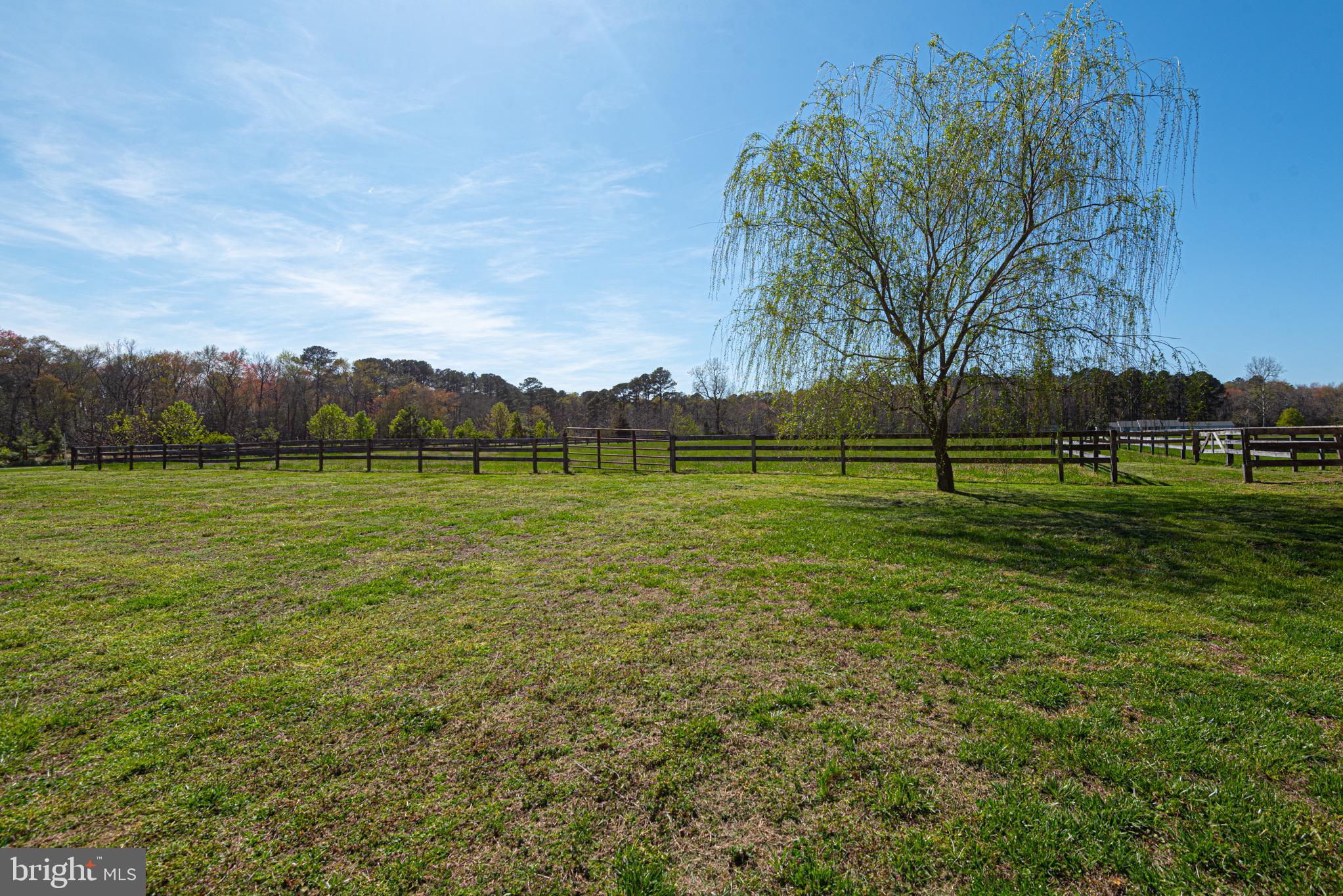 12740 Jarvis Road Bishopville, MD 21813 - Photo 10 of 47 a view of outdoor space with green field and trees