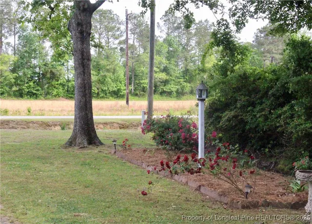 a view of a park that has large trees