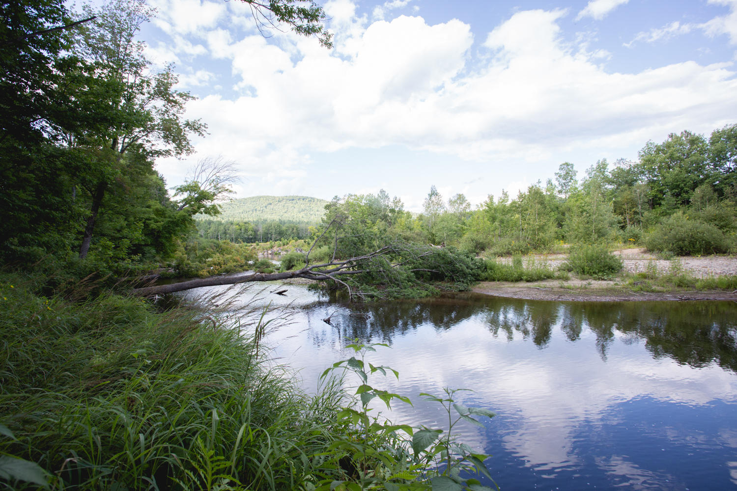 29 Riverbank Road Newry, ME 04261 - Photo 47 of 56 Bear River