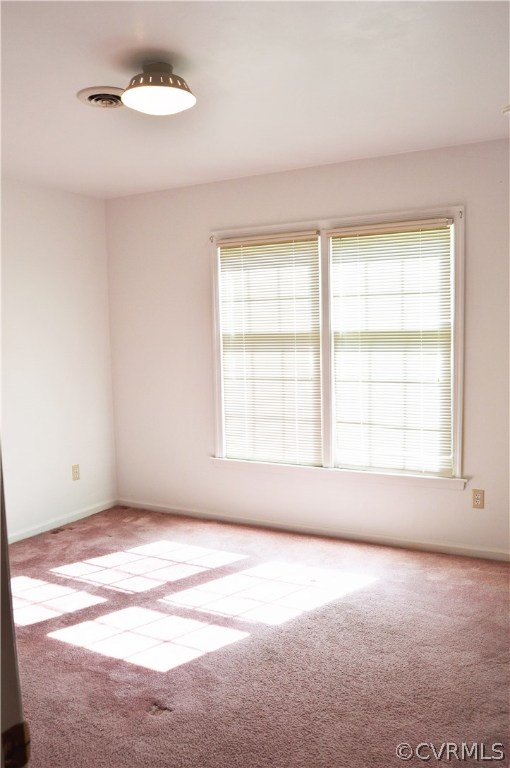 1900 Beaverdam Road Spring Grove, VA 23881 - Photo 17 of 29 Gallery Image 17