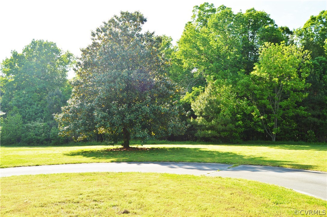 1900 Beaverdam Road Spring Grove, VA 23881 - Photo 25 of 29 Gallery Image 25