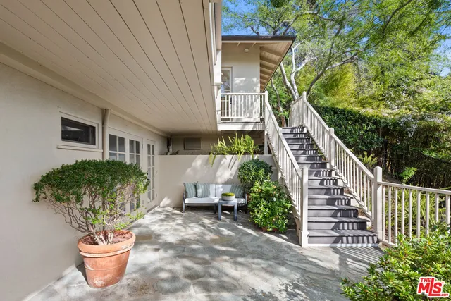 a potted plant sitting in front of a house