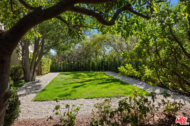 a view of a yard with plants and large trees