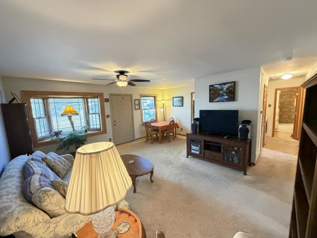 111 Cedar Circle Streamwood, IL 60107 - Photo 10 of 26
