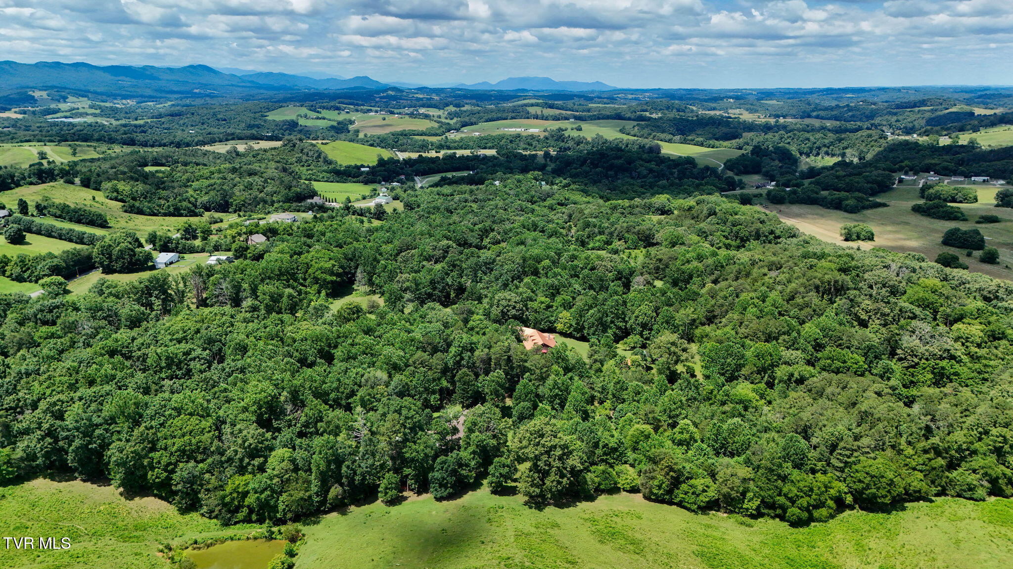 1374 West Allens Bridge Road Greeneville, TN 37743 - Photo 87 of 96 88-web-or-mls-1374 W Allens Bridge Rd EL