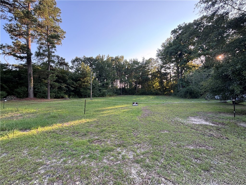 595 Shaw Road St. Pauls, NC 28384 - Photo 3 of 29