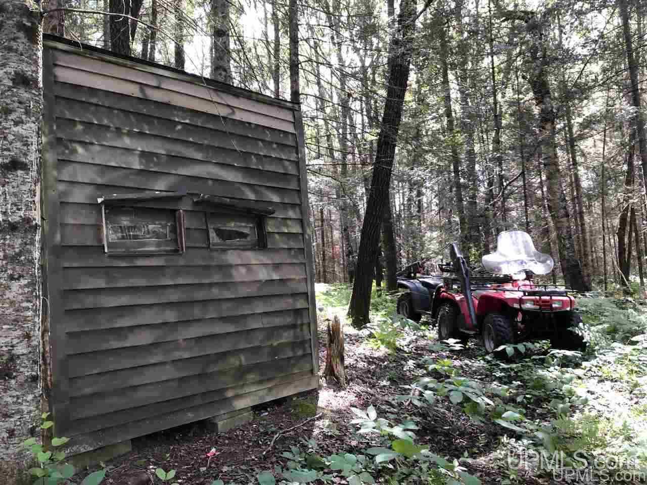 Tbd West Tower Road Ishpeming, MI 49849 - Photo 9 of 44