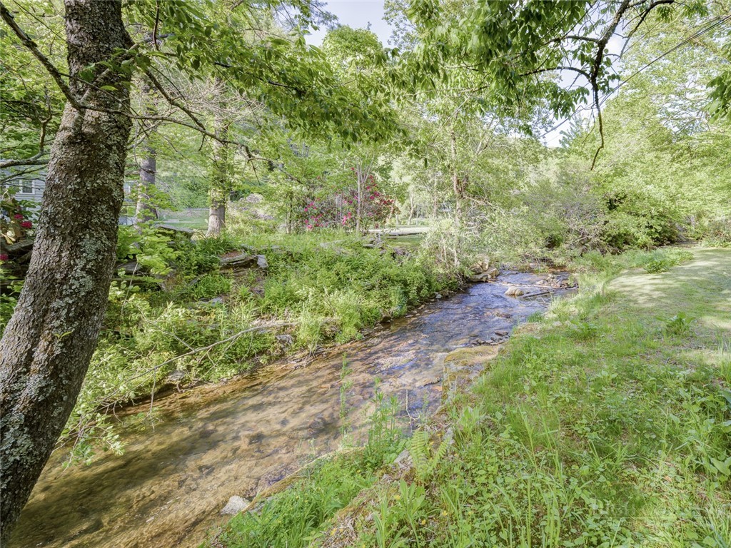 1471 Bamboo Road Boone, NC 28607 - Photo 3 of 19 a big yard with lots of green space and plants