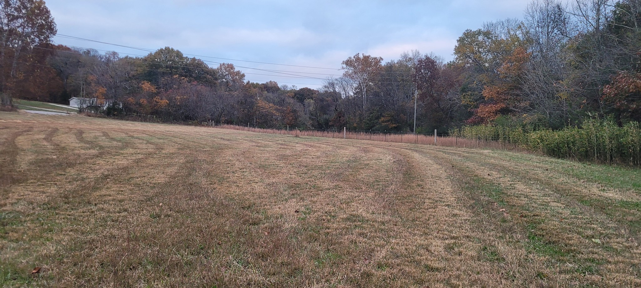 1 Flat Creek Road Spring Hill, TN 37174 - Photo 2 of 11 a view of a field with trees in the background