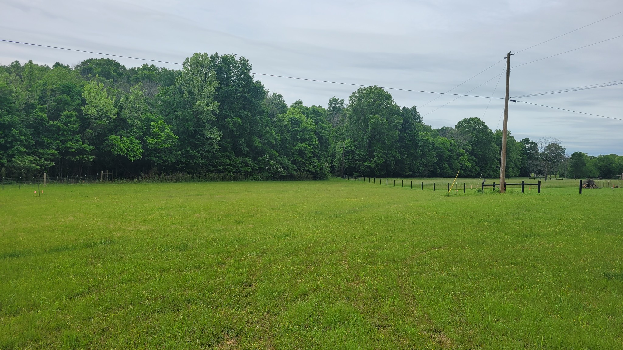 1 Flat Creek Road Spring Hill, TN 37174 - Photo 8 of 11 a view of a field with trees in the background