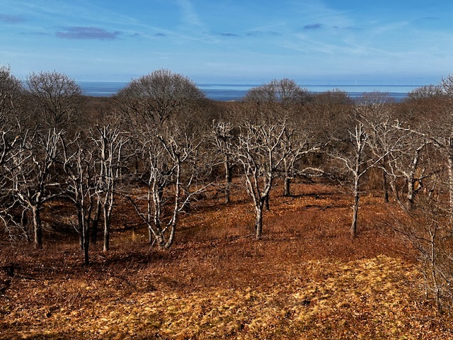 834 State Road Aquinnah, MA 02535 - Photo 1 of 1