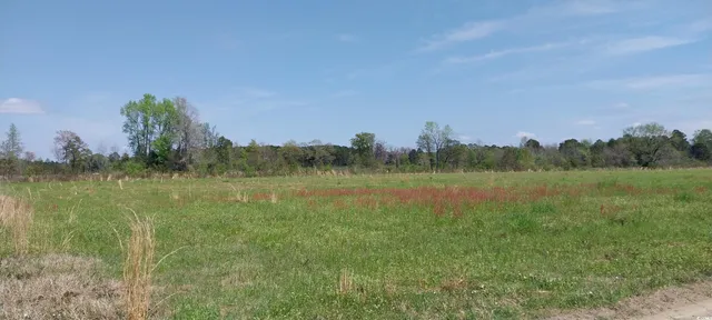 $255,000 | 1 C Davis Lane, Mullins, SC 29574