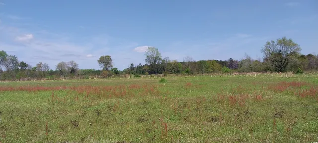 $255,000 | 1 C Davis Lane, Mullins, SC 29574