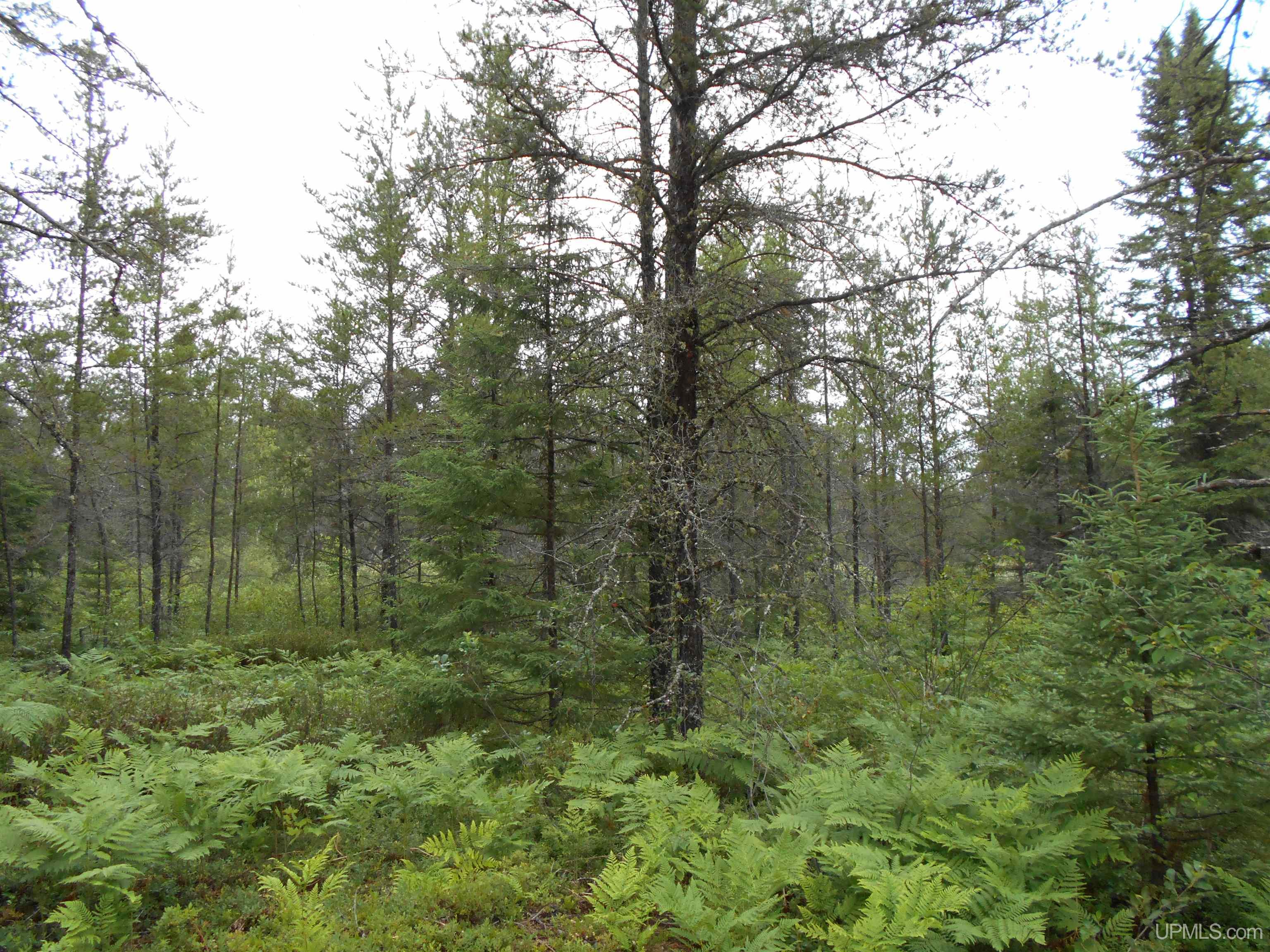 2245 West Co Road Seney, MI 49883 - Photo 17 of 22