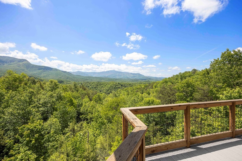 419 Pinnacle Vista Road Sevierville, TN 37876 - Photo 14 of 53 Gallery Image 14