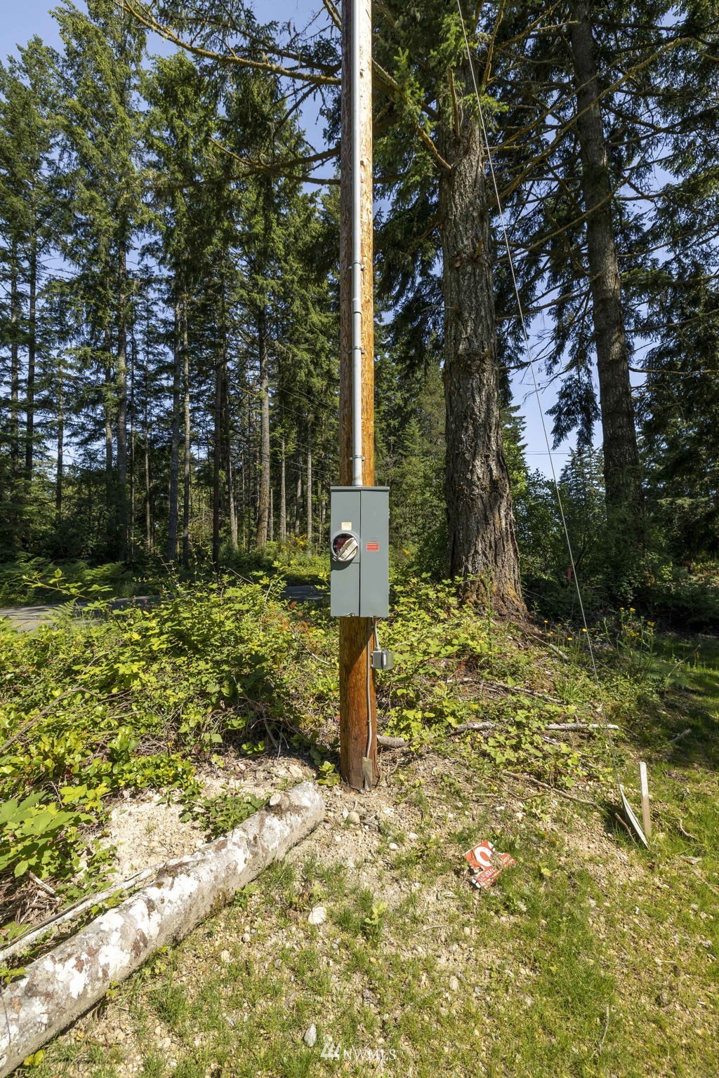 6233- Southwest Rhododendron Drive Port Orchard, WA 98367 - Photo 6 of 20 Gallery Image 6