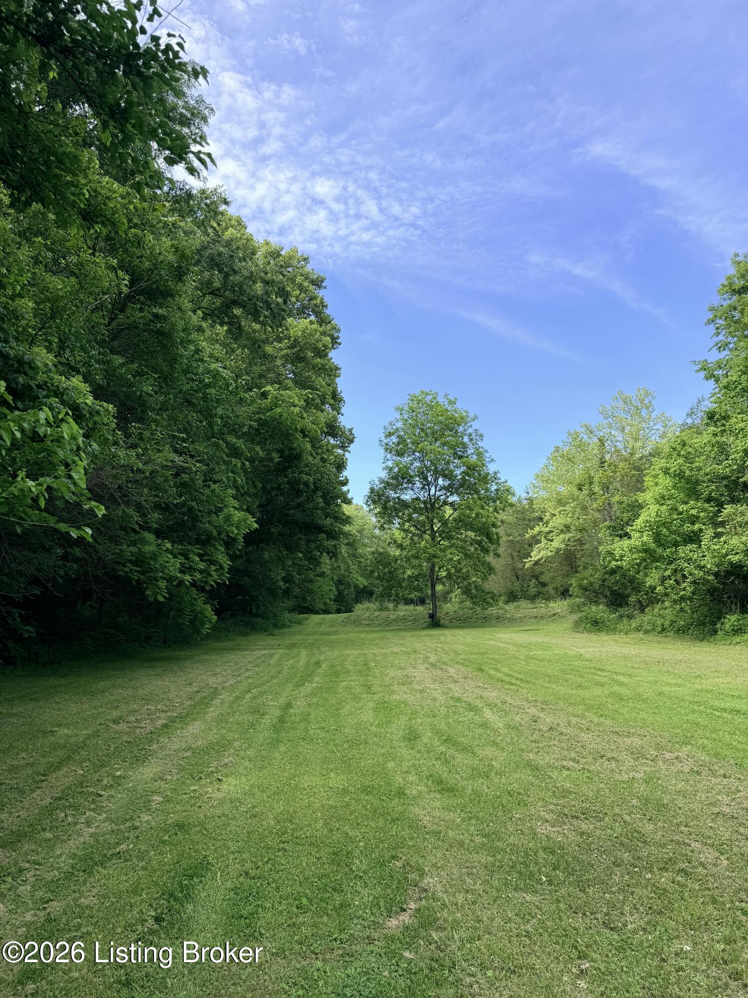 6172 Mount Pleasant Road Milton, KY 40045 - Photo 21 of 29 IMG_6718