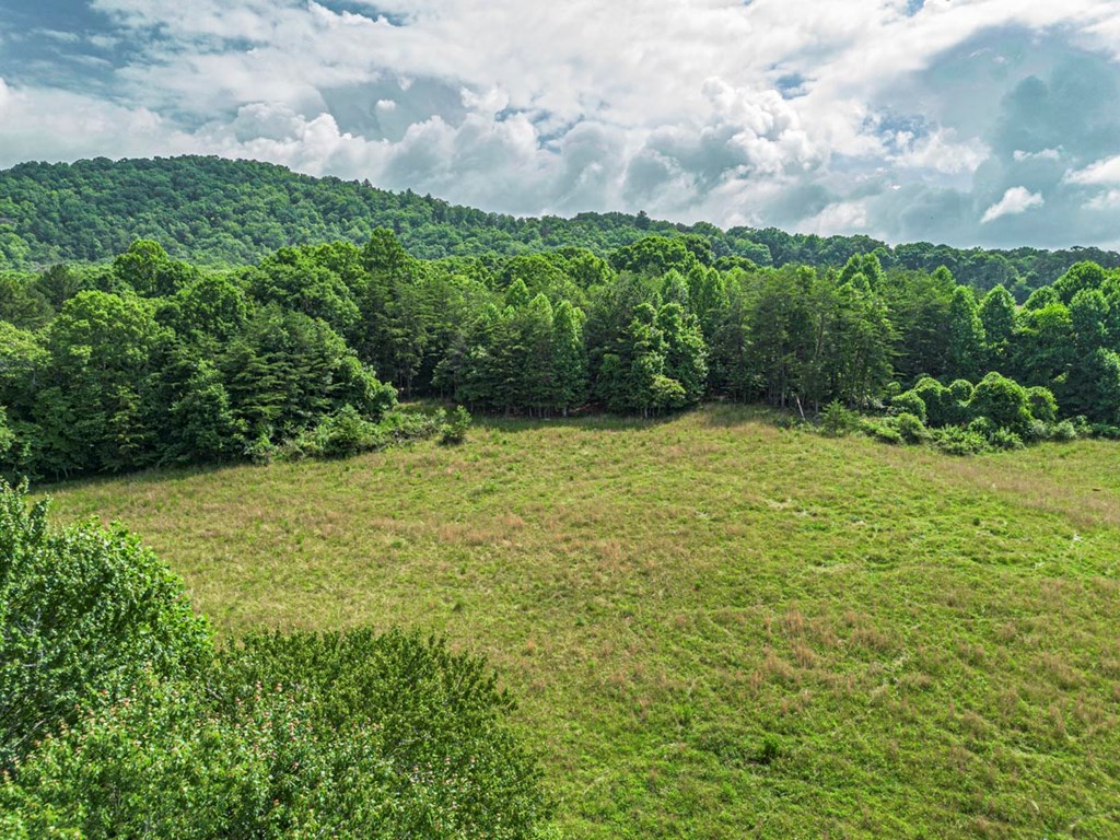 541 Pleasant Hill Road Copperhill, TN 37317 - Photo 16 of 20