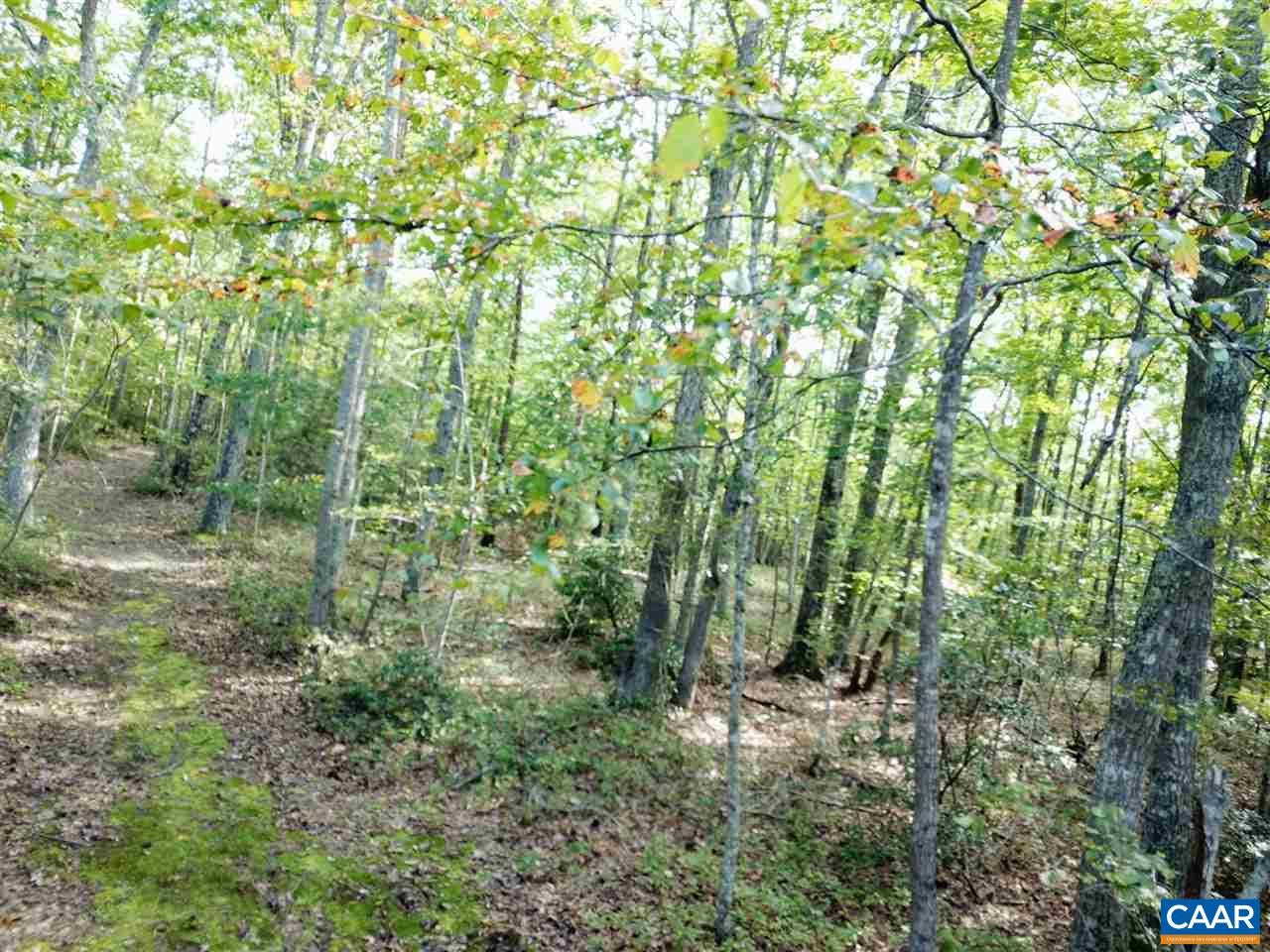 Tba Lot 2 Tba Route South Dillwyn, VA 23936 - Photo 14 of 39 Gallery Image 14
