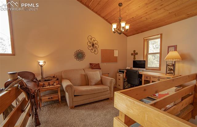 603 Kutsu Ridge Road Florissant, CO 80816 - Photo 9 of 14 Gallery Image 9