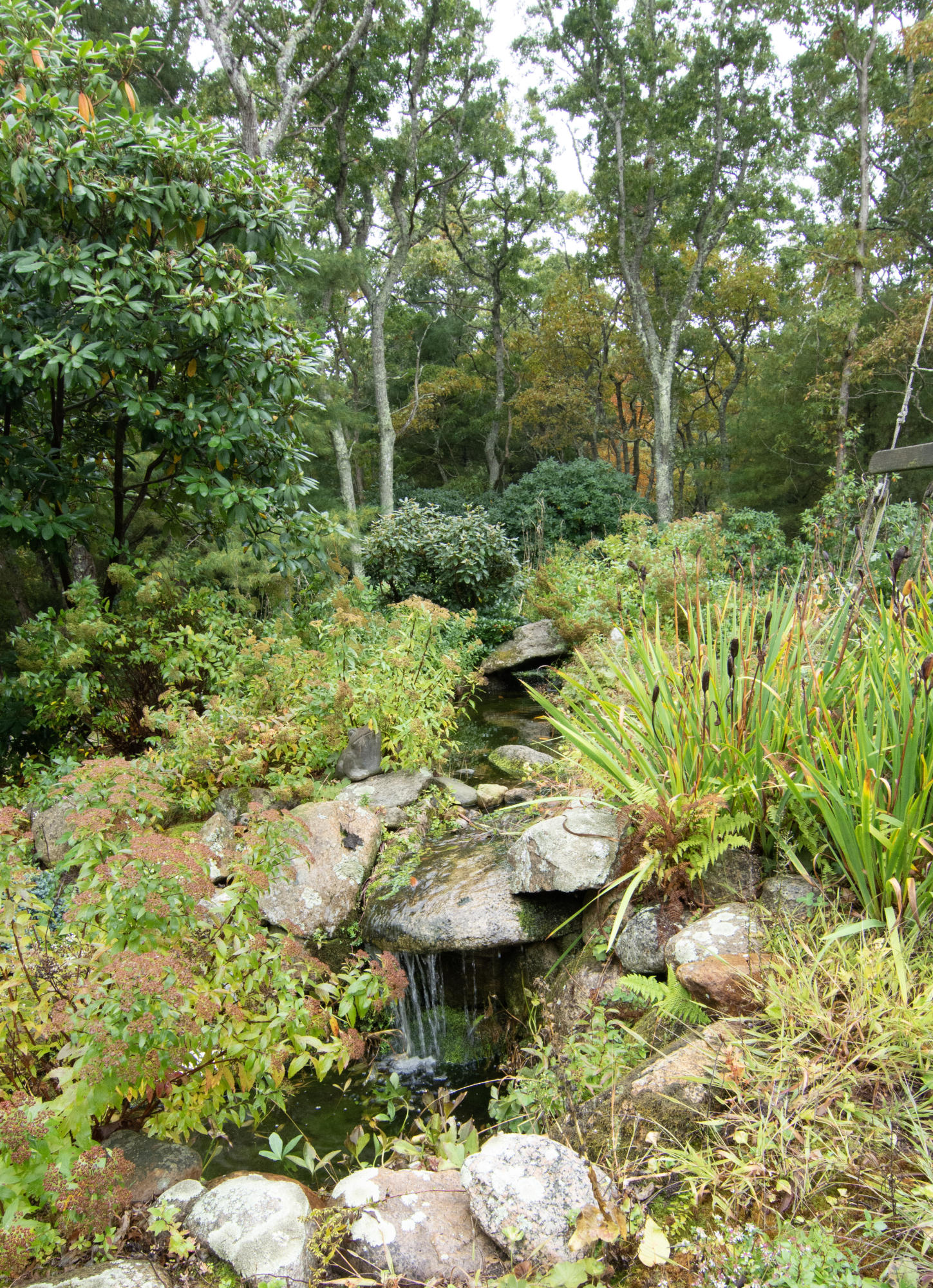 195 Red Brook Harbor Road Cataumet, MA 02534 - Photo 37 of 48 9-DSC_0666