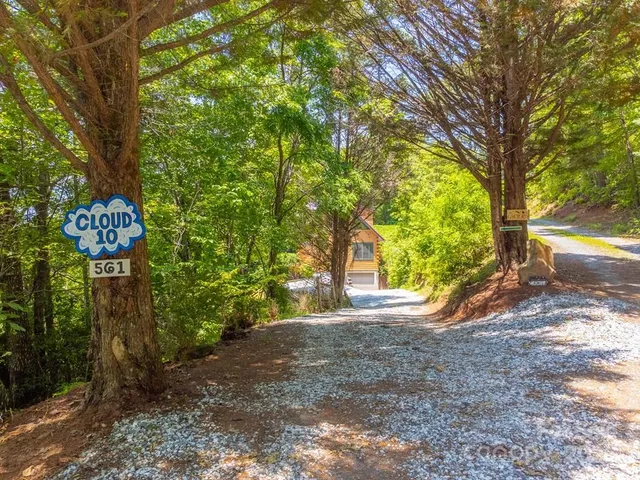 a view of a yard with plants and tree