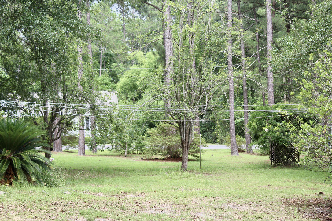 249 Country Manor Road DeFuniak Springs, FL 32435 - Photo 9 of 35 plenty of room