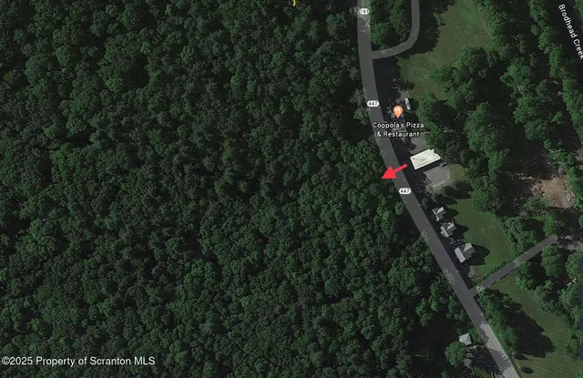 a backyard of a house with lots of green space and a fountain