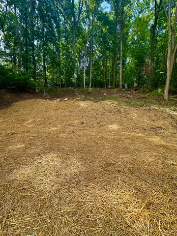 a view of a yard with a tree