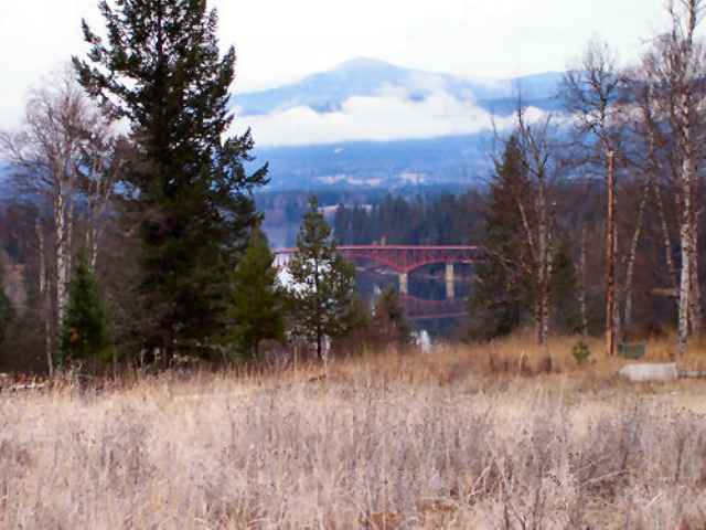 832 Box Canyon Road Ione, WA 99139 - Photo 1 of 4 Gallery Image 1