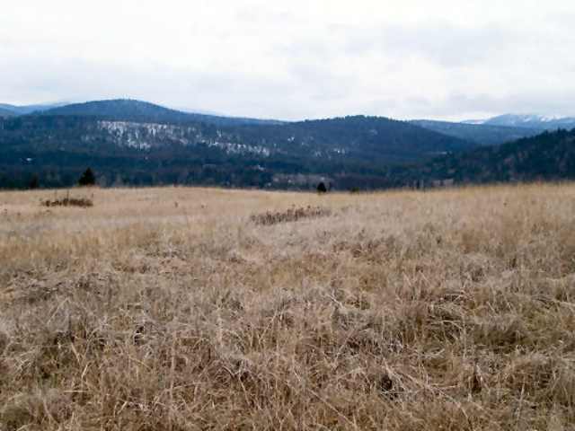 832 Box Canyon Road Ione, WA 99139 - Photo 2 of 4 Gallery Image 2