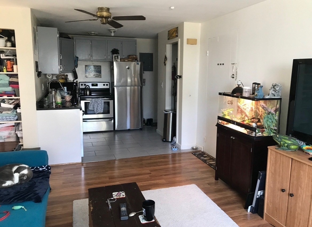 194 Lexington Street, Unit 1 Watertown, MA 02472 - Photo 5 of 19