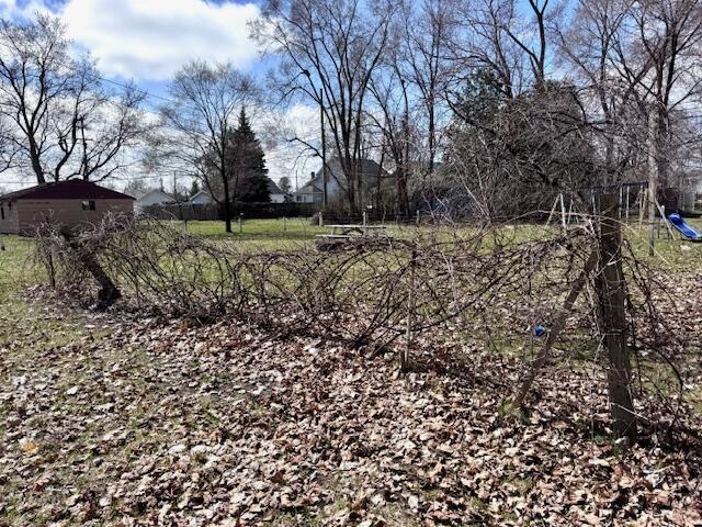 315 East Slosson Avenue Reed City, MI 49677 - Photo 5 of 34 IMG_3103