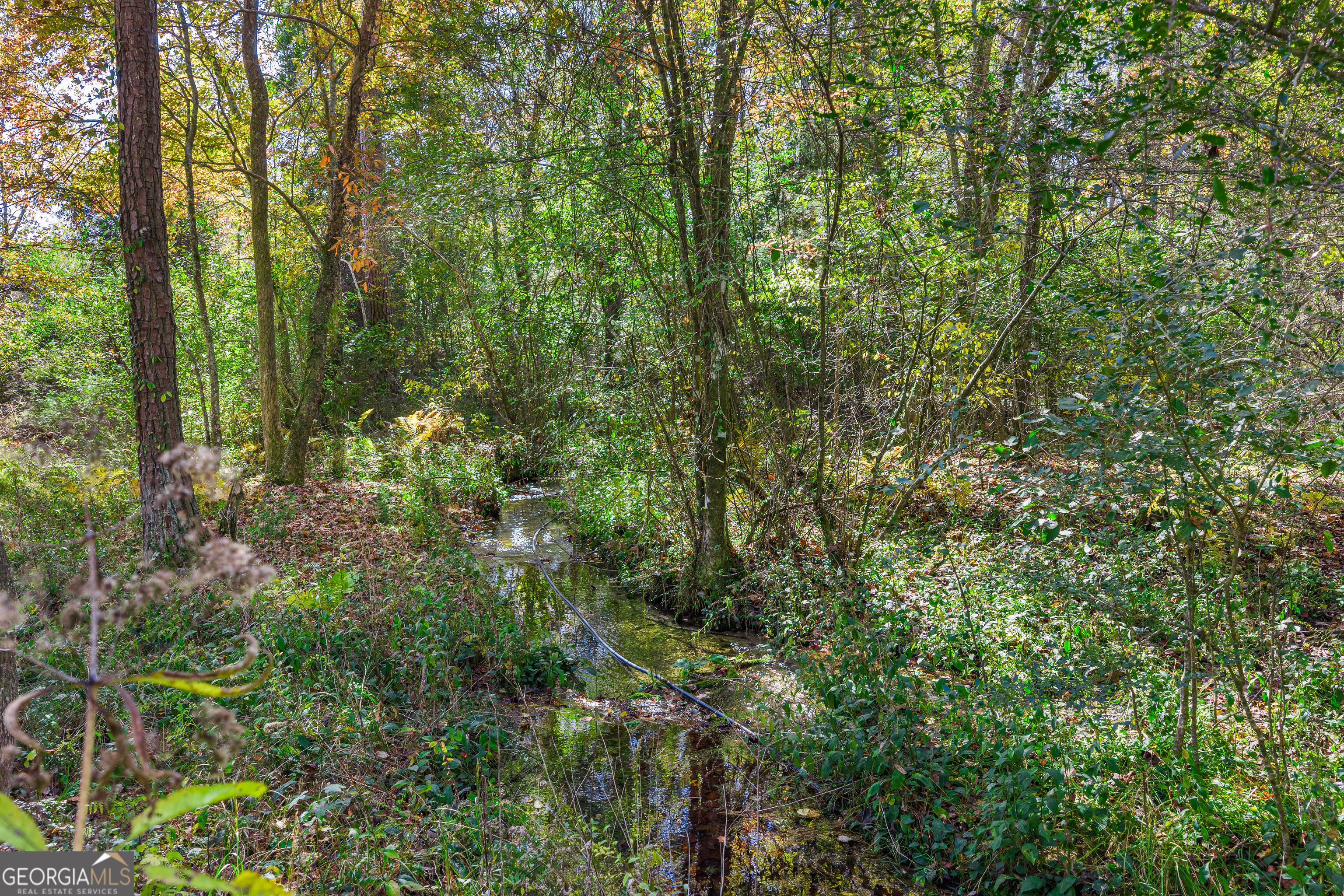 1516 Fish Hatchery Road Summerville, GA 30747 - Photo 50 of 51
