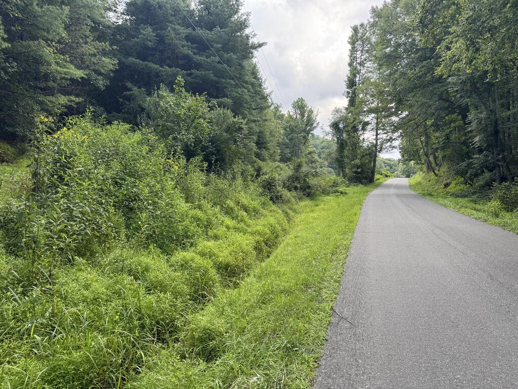 Tbd Cardinal Road Galax, VA 24333 - Photo 11 of 12 Gallery Image 11