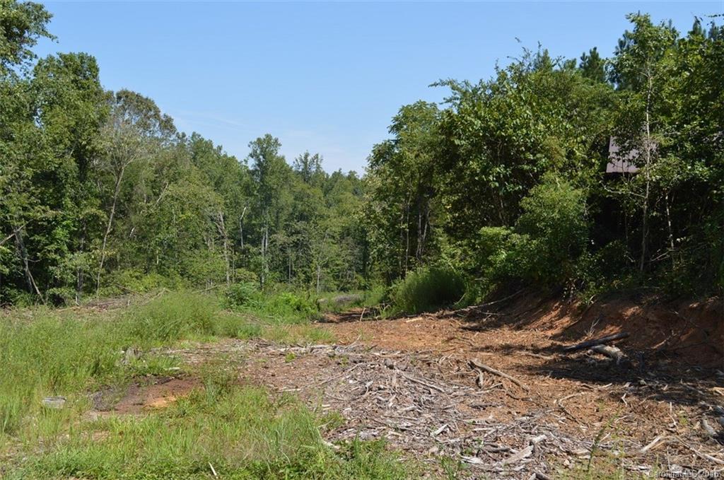 0 Jim Wise Road Lincolnton, NC 28092 - Photo 3 of 7 Gallery Image 3
