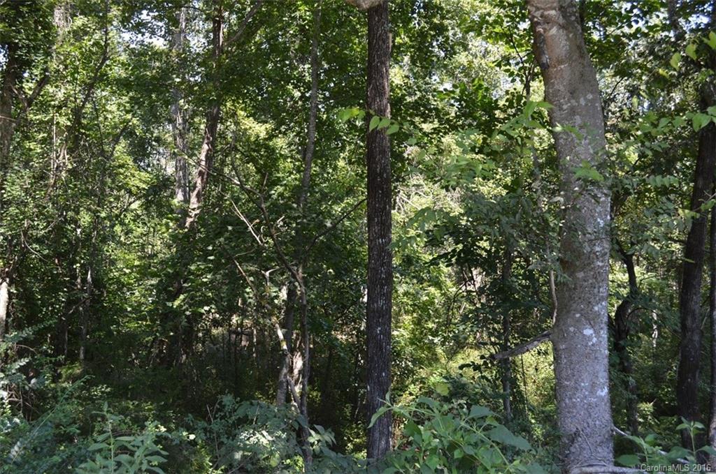 0 Jim Wise Road Lincolnton, NC 28092 - Photo 5 of 7 Gallery Image 5